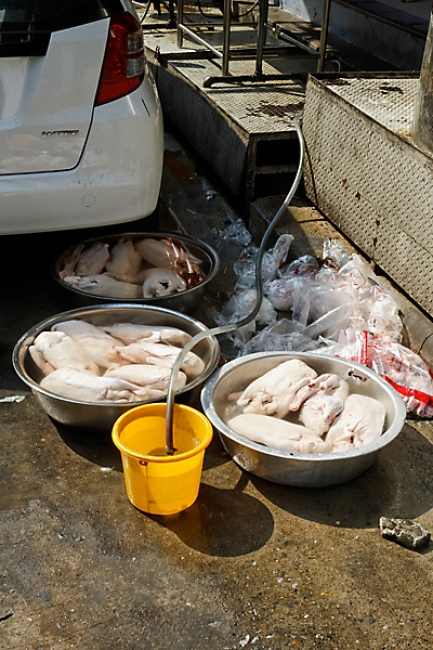 Nouvel an chinois 2011-003